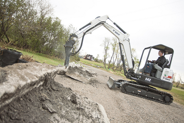 bobcat 1